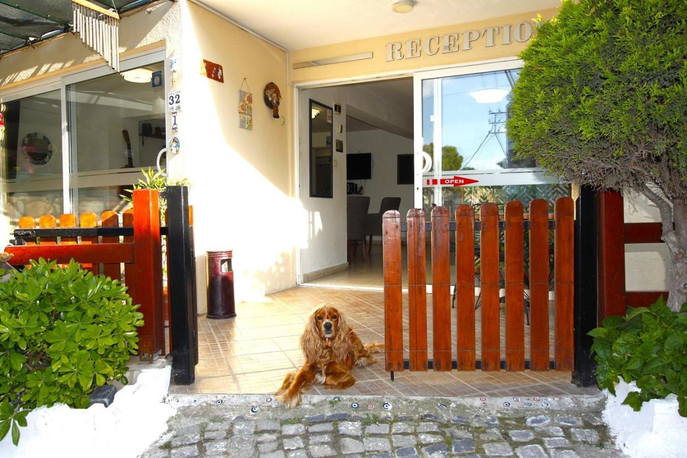 Bonapart Hotel Cesme Ngoại thất bức ảnh