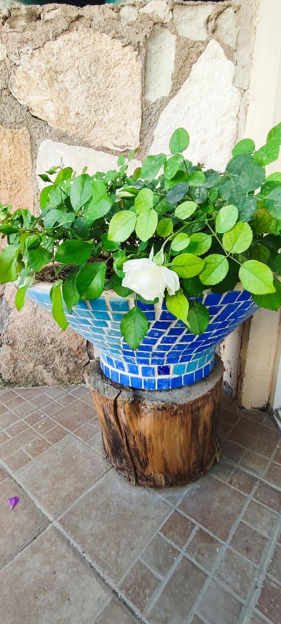 Bonapart Hotel Cesme Ngoại thất bức ảnh